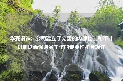 华菱钢铁：公司建立了完善的内部控制和审计机制以确保财务工作的专业性和合规性