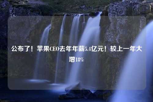 公布了！苹果CEO去年年薪5.4亿元！较上一年大增18%